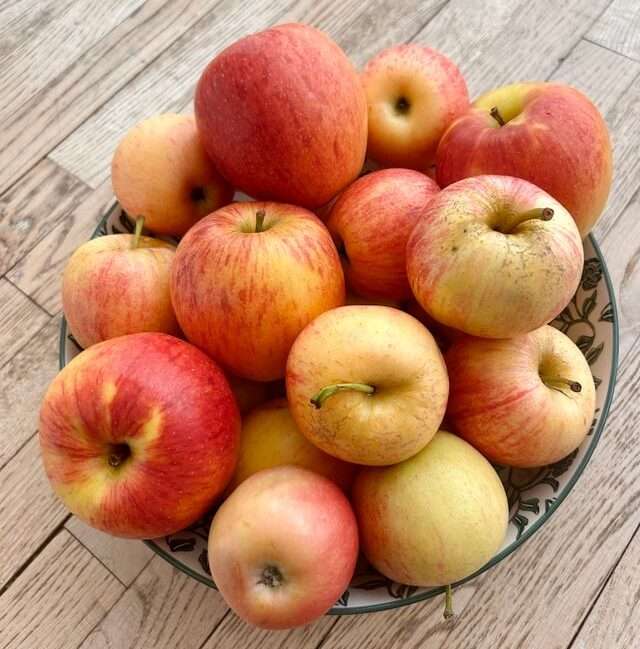 Mele come esempio di alimento sano per alimentazione terapeutica